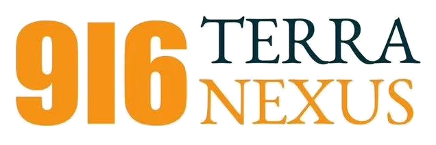 916 Terra Nexus